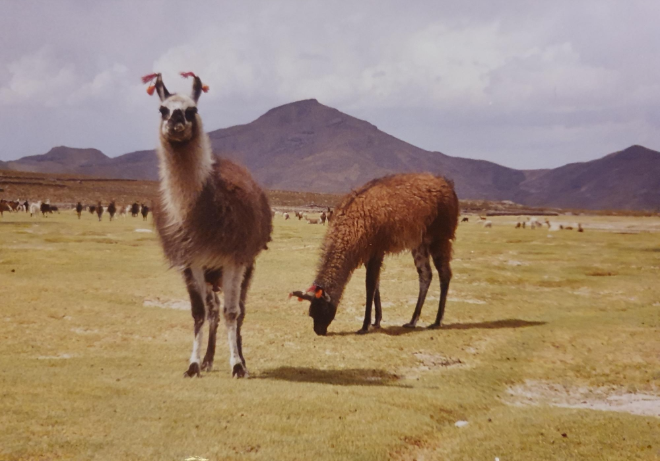Bolivia: El espejo de lo invisible