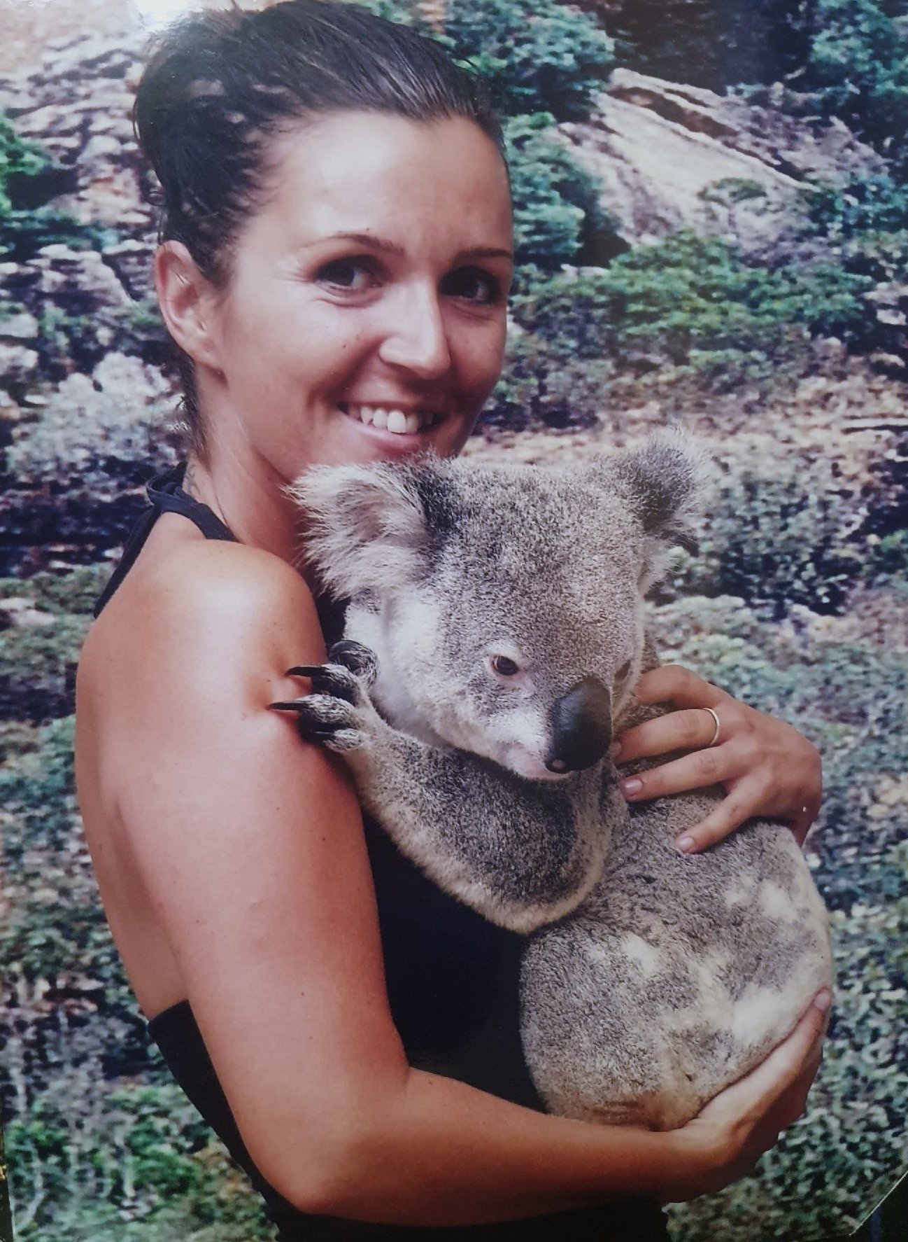 Koala Australia